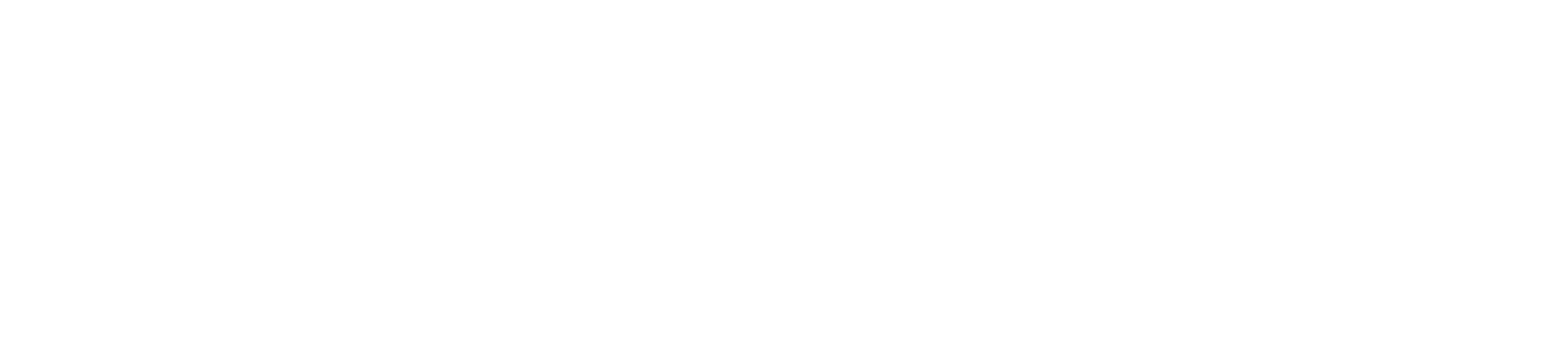 TranScreen